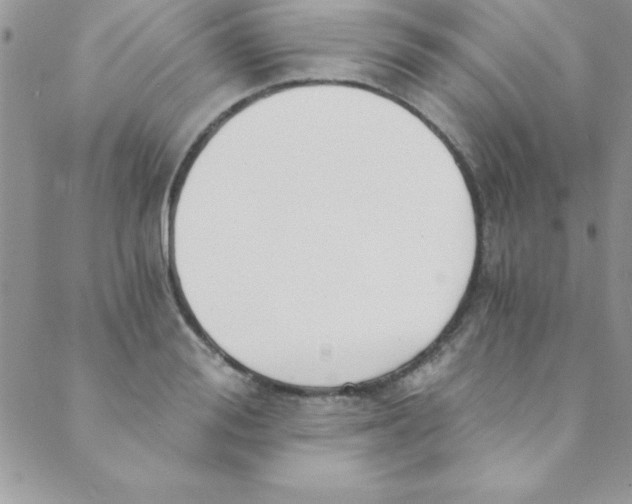 X0000088840988200707051443