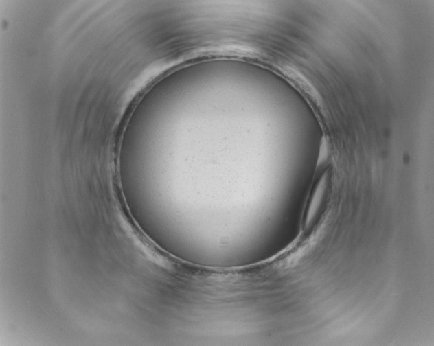 X0000088840989200707051443