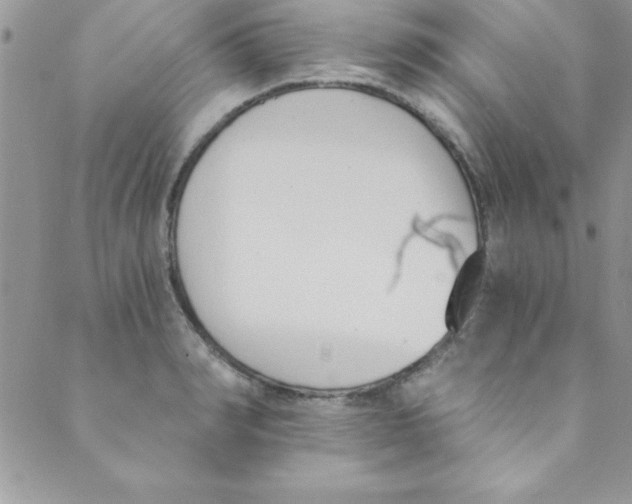 X0000088840990200707051443