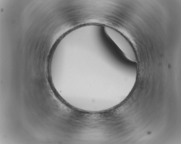 X0000088840991200707051443