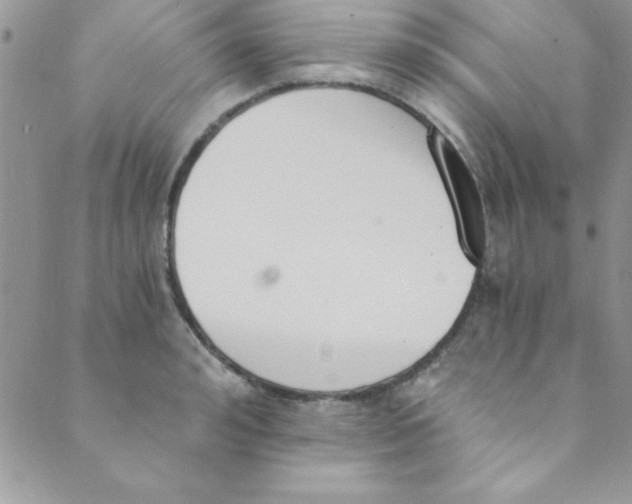 X0000088840992200707051443