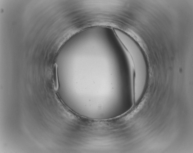 X0000088840993200707051443