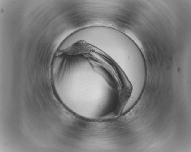 X0000088840996200707051443