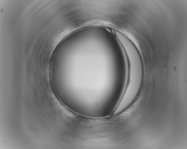 X0000088840997200707051443