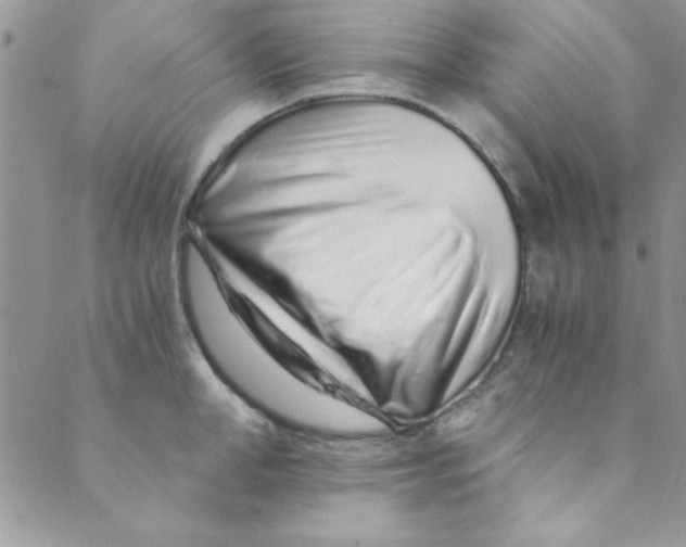 X0000088840998200707051443