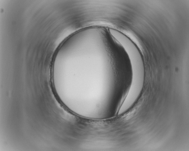 X0000088840999200707051443