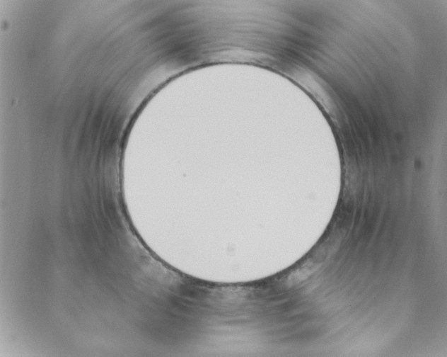 X0000088841000200707051443