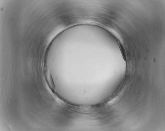 X0000088841007200707051443