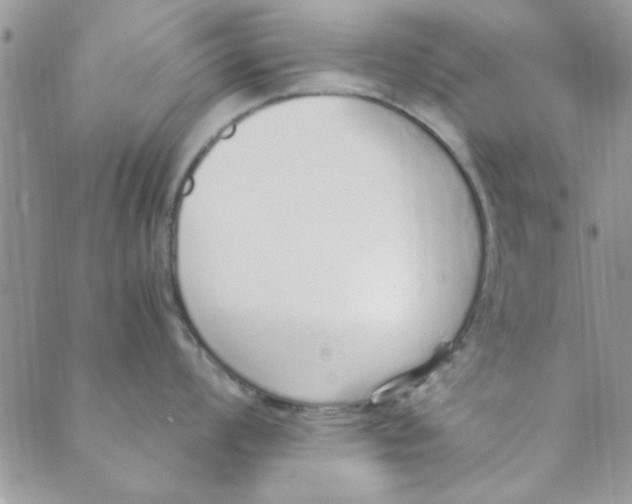 X0000088841008200707051443