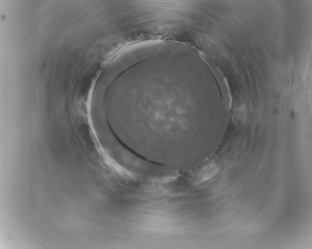 X0000088841010200707051442