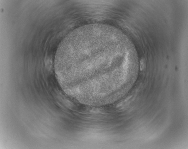 X0000088841011200707051442