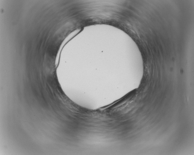 X0000088841012200707051442