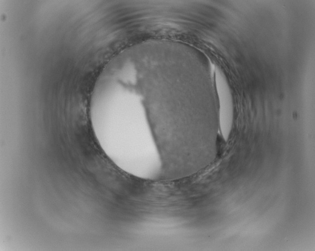 X0000088841013200707051442