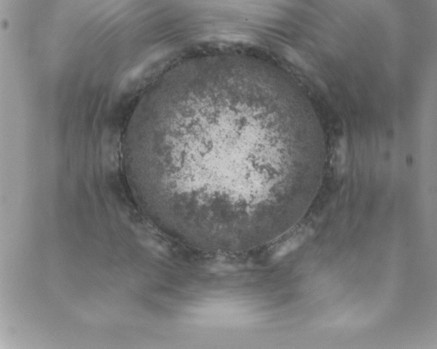 X0000088841014200707051442