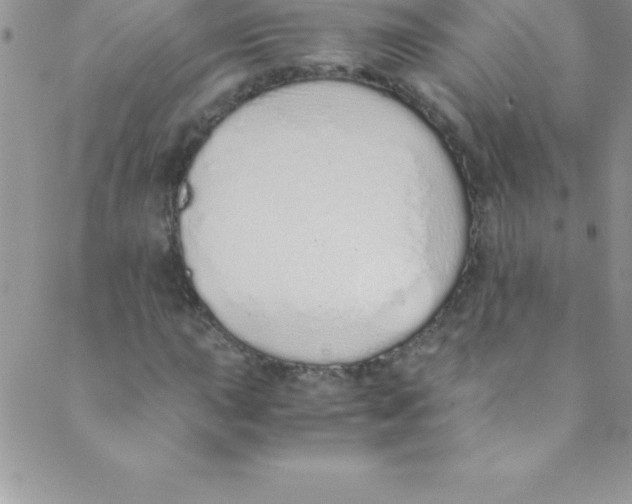 X0000088841015200707051442