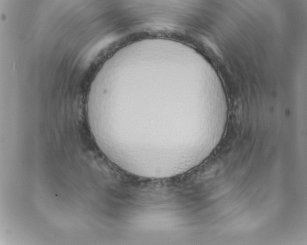 X0000088841016200707051442