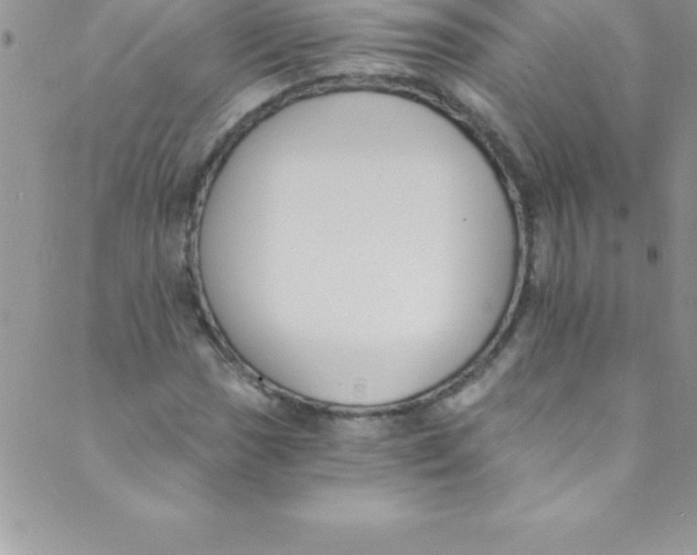 X0000088841017200707051442