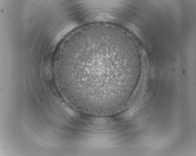 X0000088841018200707051442