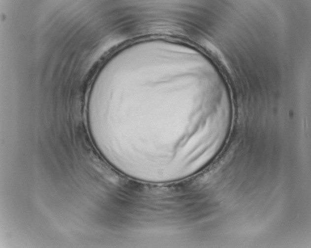 X0000088841019200707051442