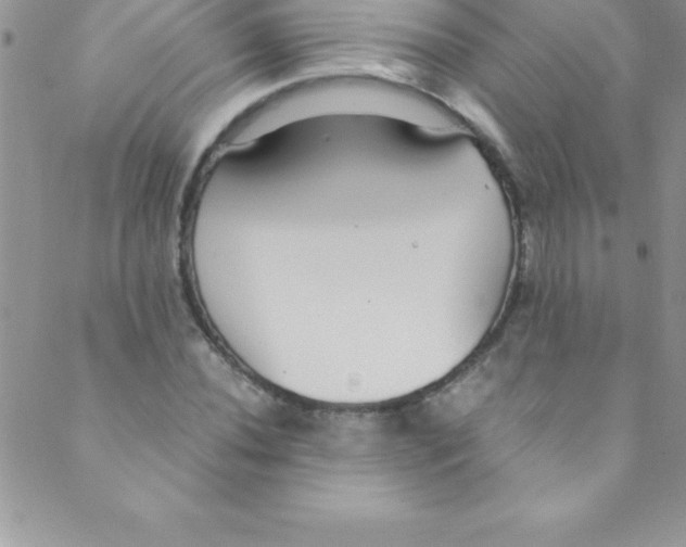 X0000088841020200707051442