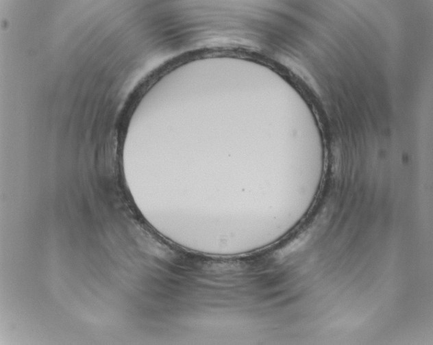 X0000088841021200707051442