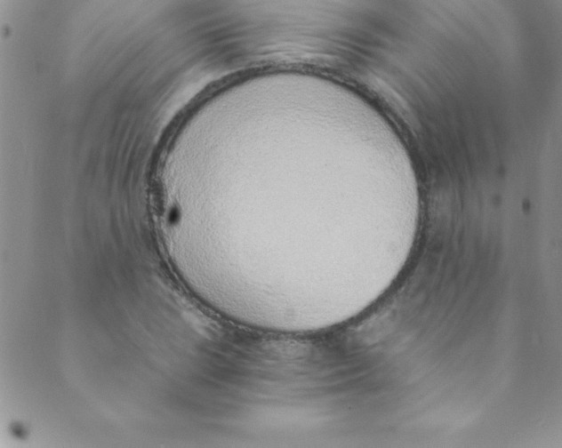 X0000088841023200707051442