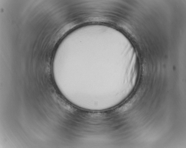 X0000088841025200707051442