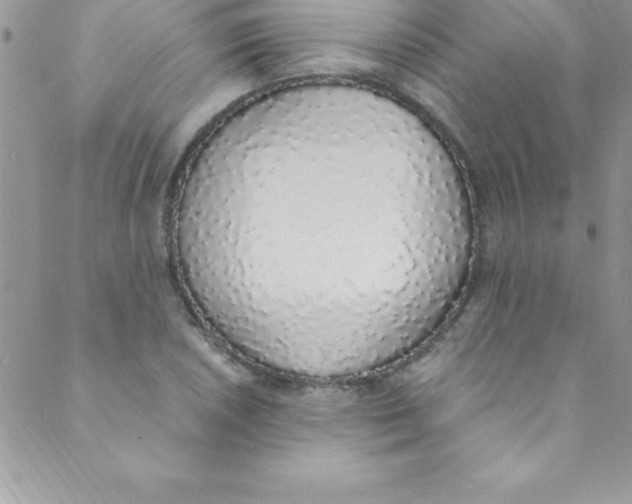 X0000088841026200707051442