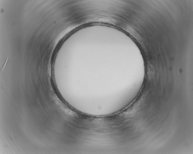 X0000088841028200707051442