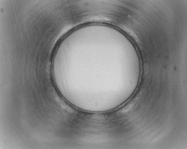 X0000088841029200707051442