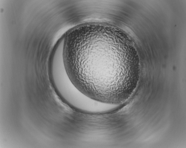 X0000088841030200707051442