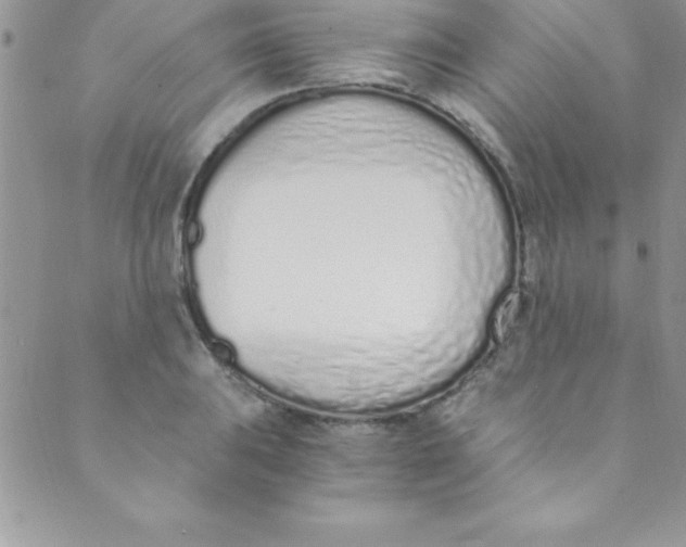 X0000088841031200707051442