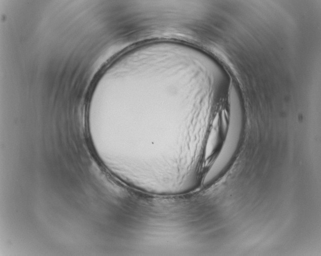 X0000088841032200707051442