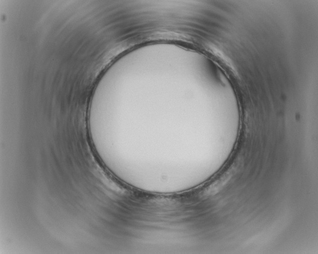 X0000088841033200707051442