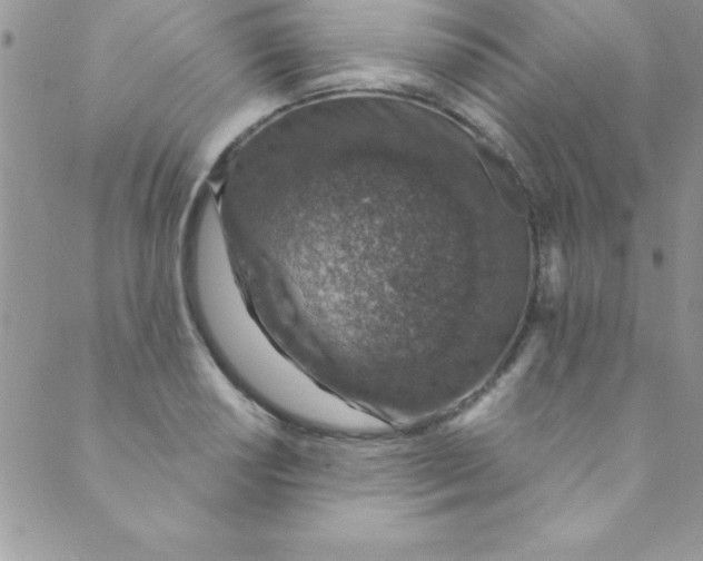 X0000088841034200707051442