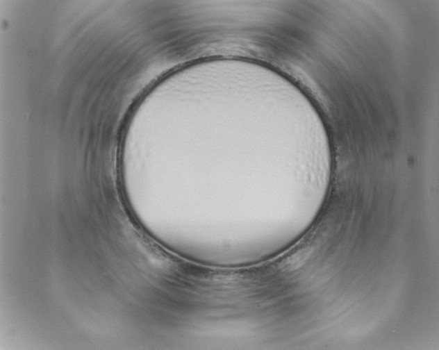 X0000088841035200707051442