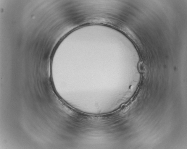 X0000088841036200707051442