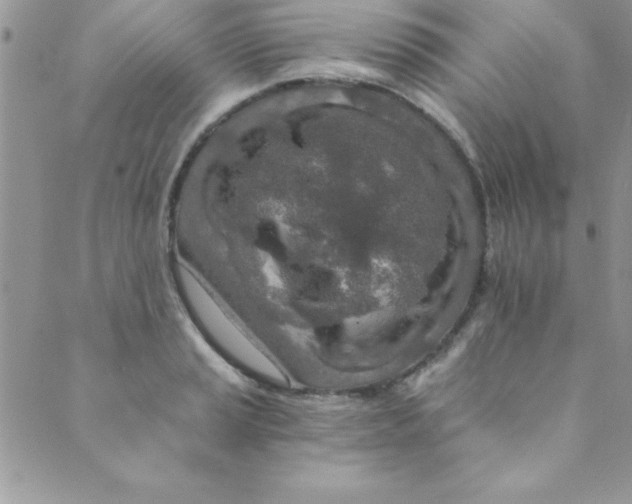 X0000088841037200707051442