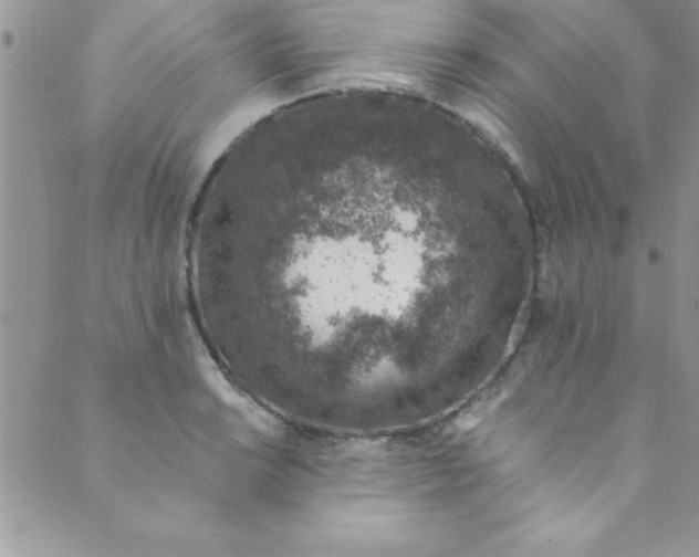 X0000088841038200707051442