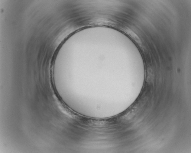 X0000088841039200707051442