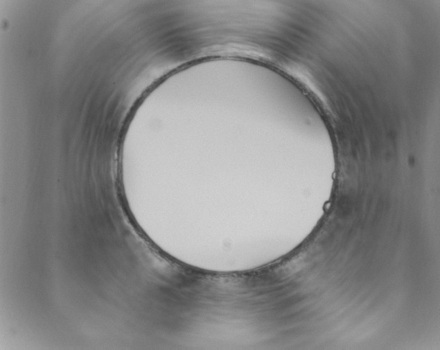 X0000088841040200707051442