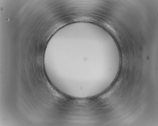 X0000088841041200707051442