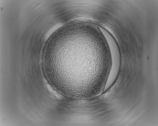 X0000088841042200707051442