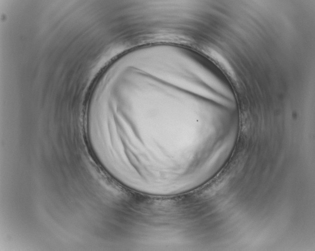 X0000088841043200707051442