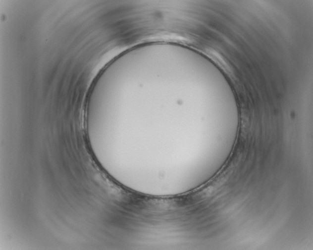 X0000088841044200707051442