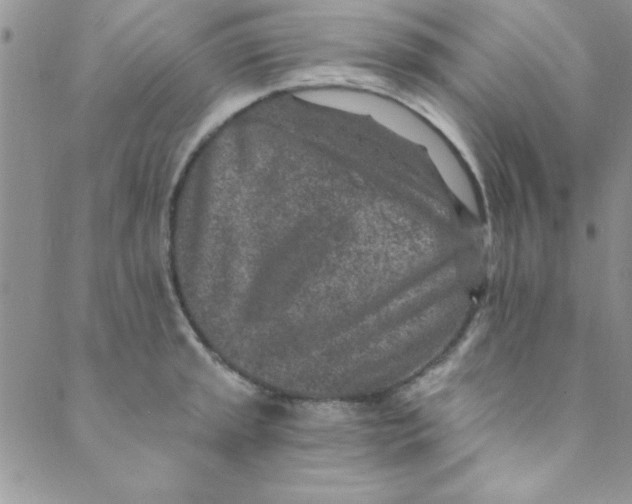 X0000088841045200707051442