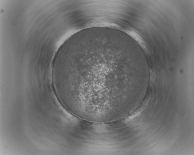 X0000088841046200707051443