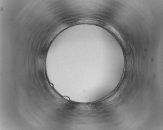 X0000088841049200707051443