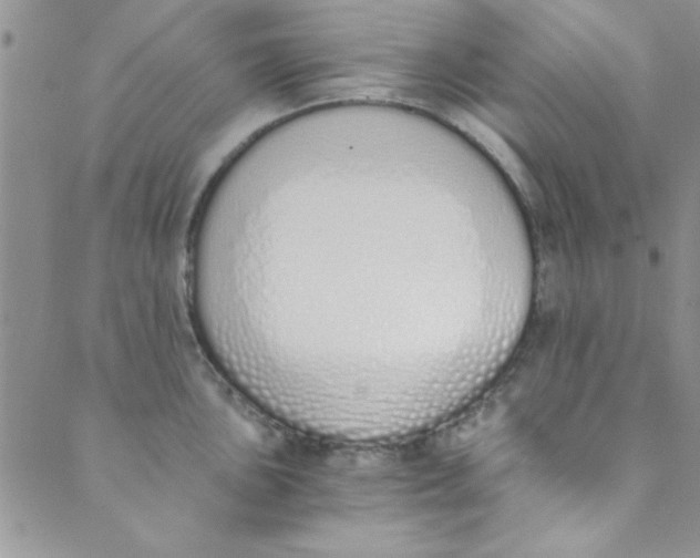 X0000088841051200707051443