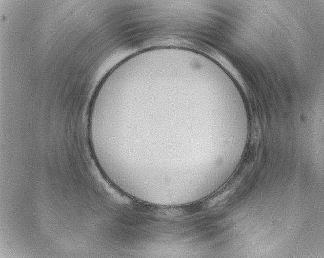 X0000088841053200707051443